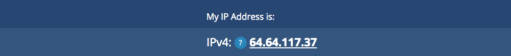 what an IP address looks like